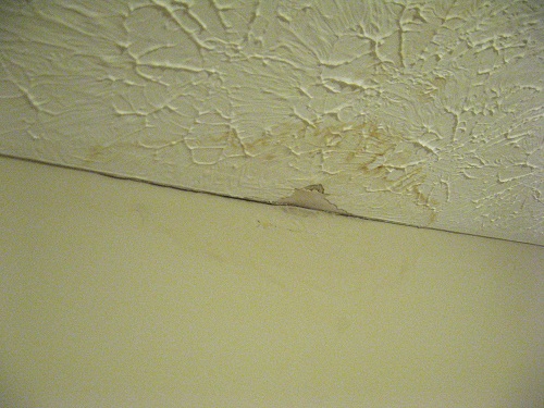 Hidden Scars of Water Damage